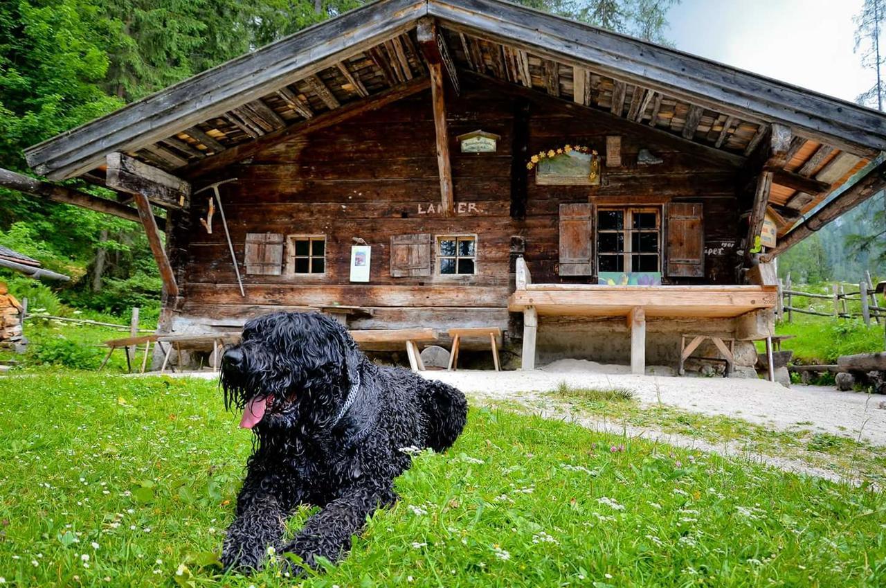 Schönau am Königssee Pension Greti מראה חיצוני תמונה